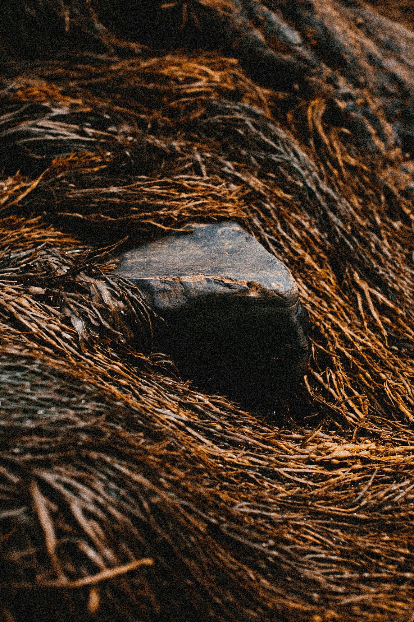 Organized notes and documents representing systematic note triage